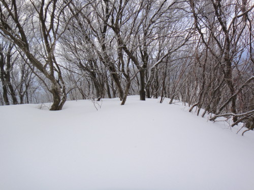 c0179351_9124369.jpg