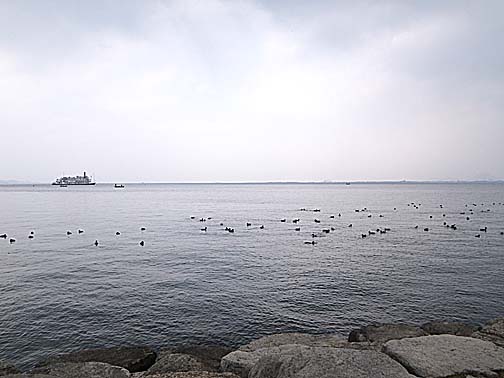 f0156359_21441838.jpg