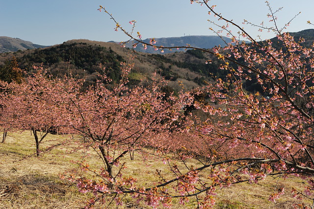 f0222161_20551323.jpg