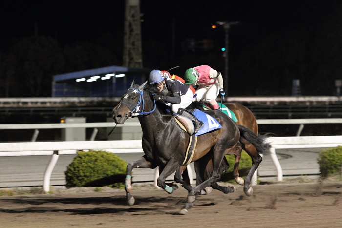 2011年3月26日（土） 高知競馬 12R 東日本被災地復興支援 共に頑張ろう東日本特別 B-5 記者選抜_a0077663_7432878.jpg