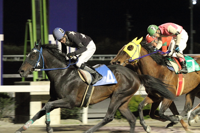 2011年3月26日（土） 高知競馬 12R 東日本被災地復興支援 共に頑張ろう東日本特別 B-5 記者選抜_a0077663_7433673.jpg