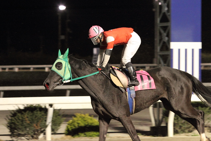 2011年3月26日（土） 高知競馬 12R 東日本被災地復興支援 共に頑張ろう東日本特別 B-5 記者選抜_a0077663_7435323.jpg