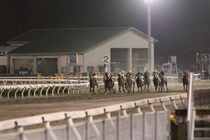 2011年3月26日（土） 高知競馬 12R 東日本被災地復興支援 共に頑張ろう東日本特別 B-5 記者選抜_a0077663_743613.jpg