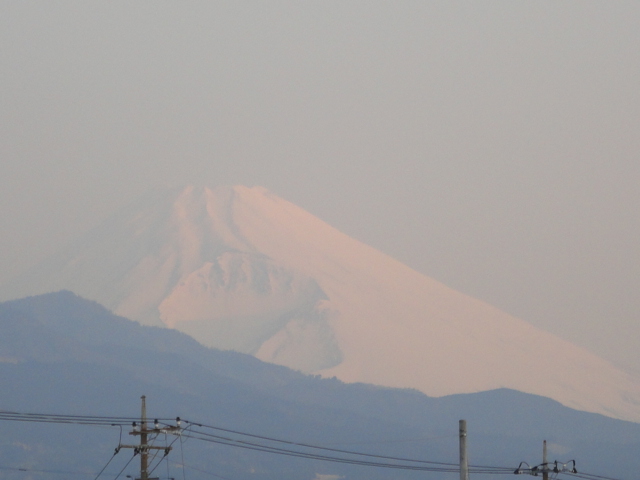 d0109373_910517.jpg