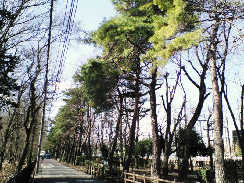 f0059673_23171724.jpg