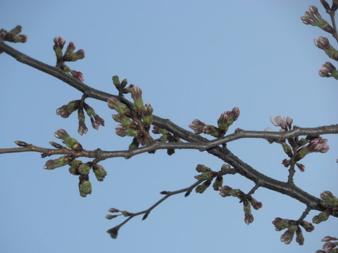 f0052277_0575063.jpg