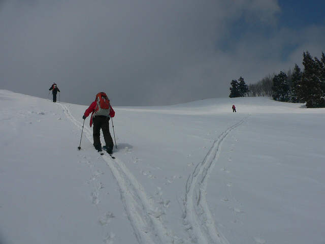 f0082181_2246510.jpg