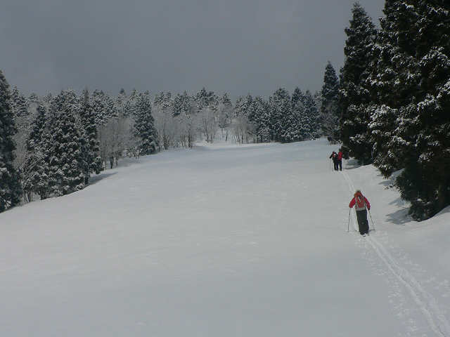 f0082181_22474697.jpg