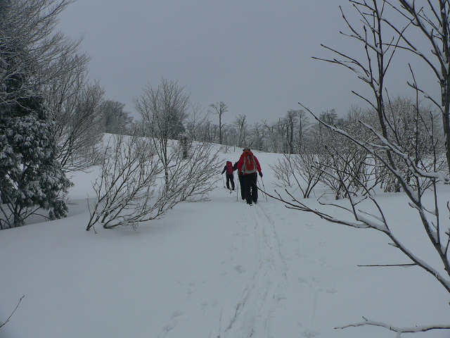 f0082181_22491276.jpg
