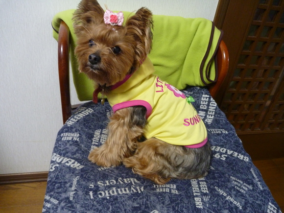 c0191390_239519.jpg