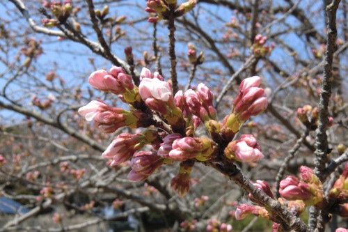 c0125191_1434358.jpg
