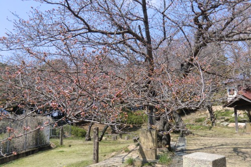 c0125191_14345858.jpg