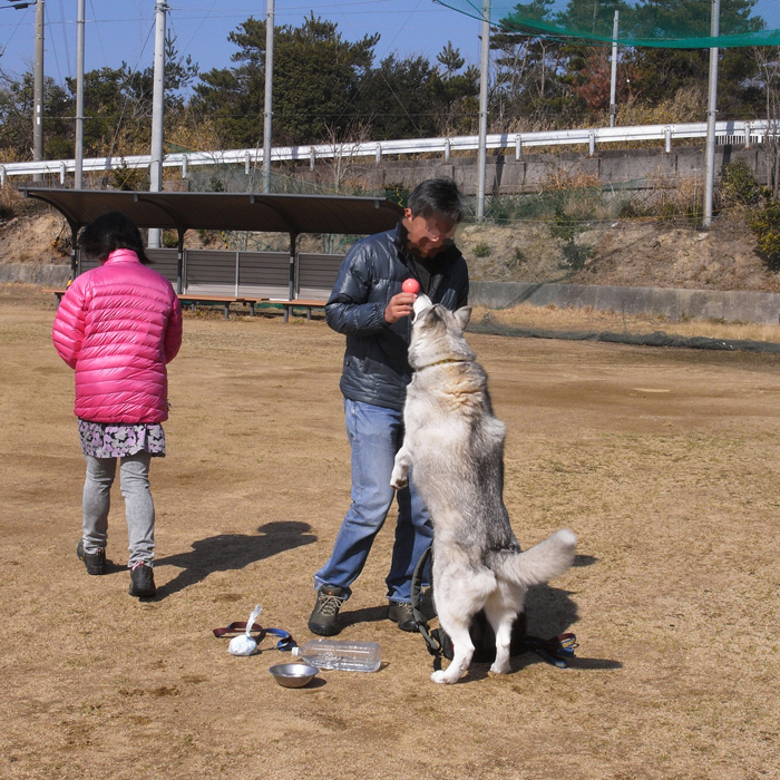 日本が震えた日、旅をしていました by CX2&GRD3_c0049299_14581397.jpg