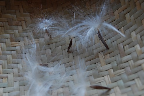 c0124100_23134138.jpg