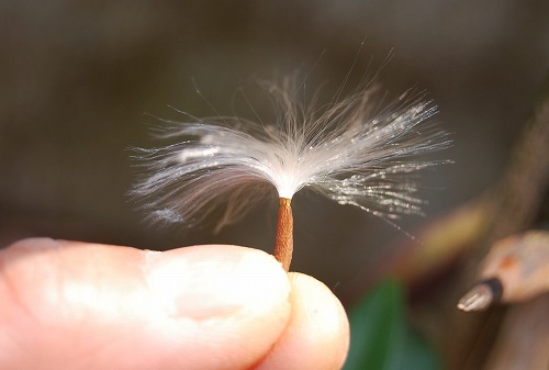 c0124100_23143852.jpg