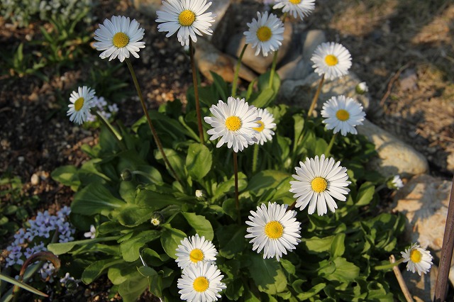 a0123003_7521248.jpg