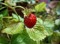 f0164903_14184021.jpg