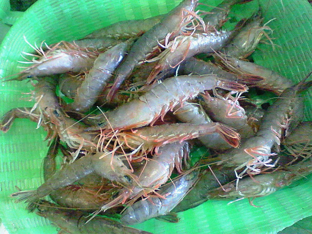 f0175403_10373352.jpg