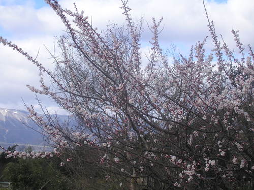 c0156104_1123445.jpg