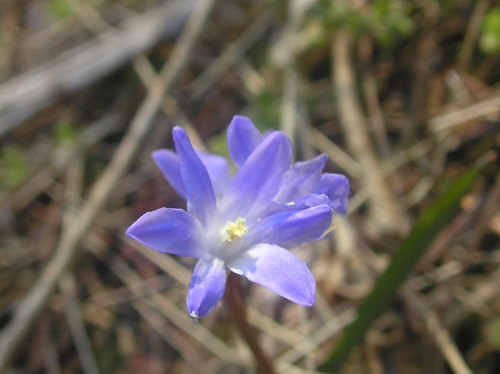 c0156104_1144041.jpg