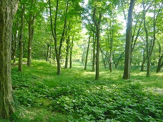 c0187004_8452220.jpg