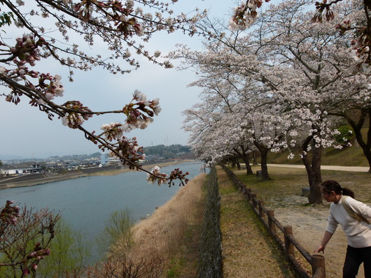 b0052108_1520269.jpg