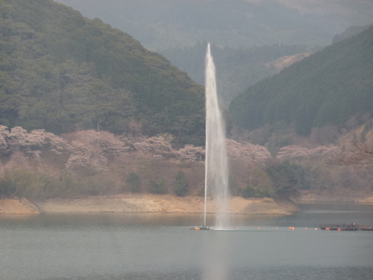 b0052108_15502617.jpg