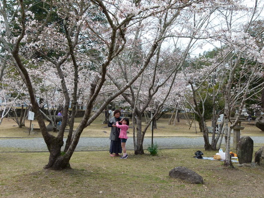 b0052108_1591254.jpg
