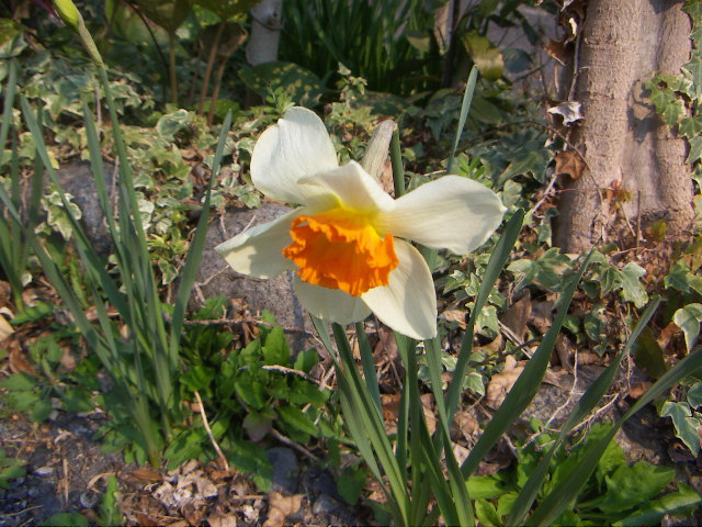 f0173908_18443323.jpg