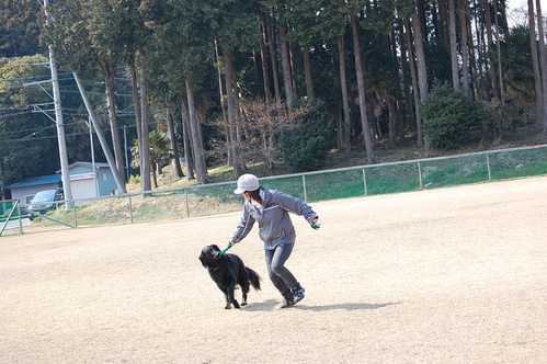 c0097309_10464522.jpg