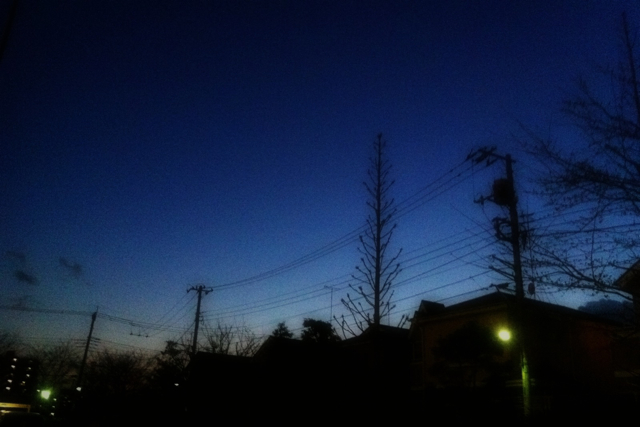 ✔ 夕暮れ時_c0004211_20515125.jpg