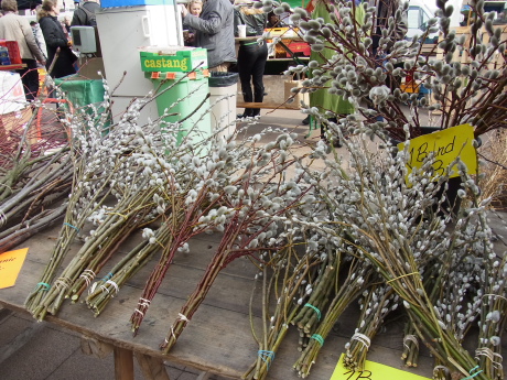 f0200015_359026.jpg