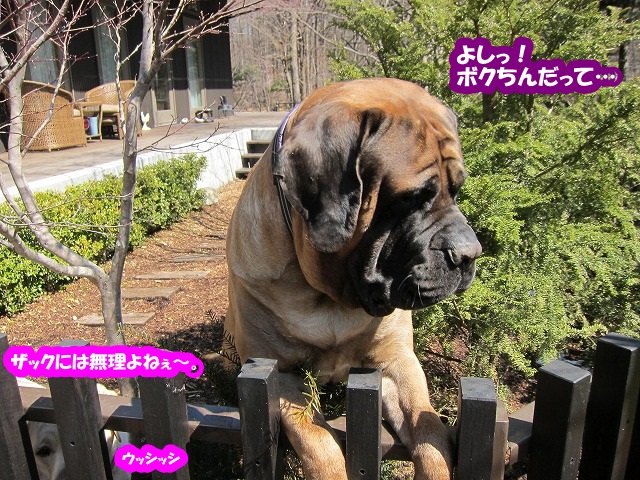 グワォー!_e0192217_811358.jpg