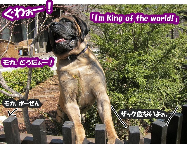 グワォー!_e0192217_8114513.jpg
