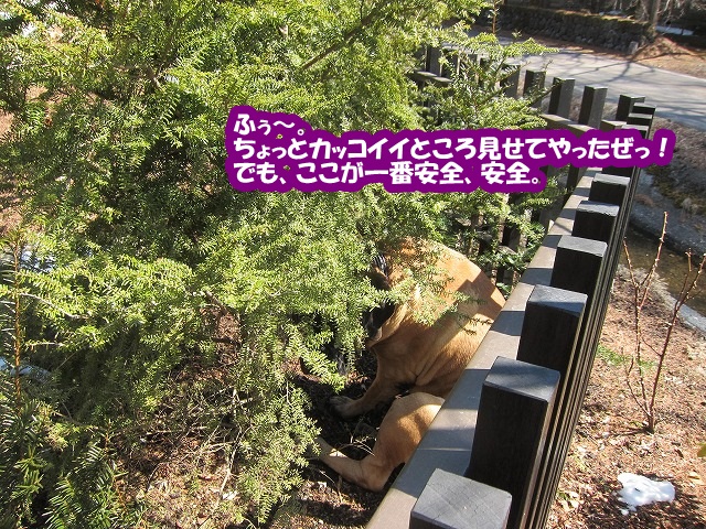 グワォー!_e0192217_8115691.jpg