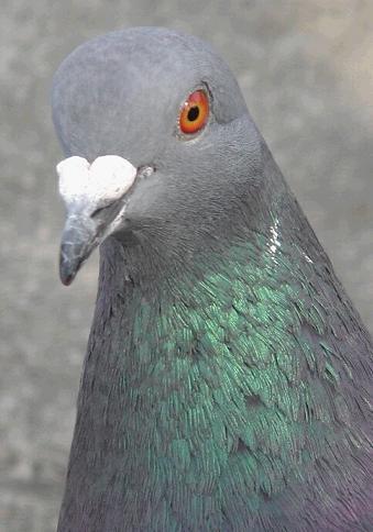 f0000521_7195113.jpg