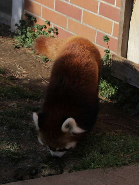 f0221023_3272564.jpg