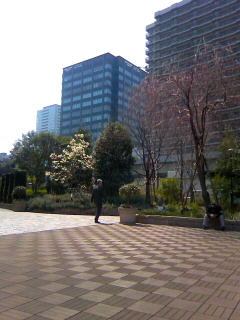 e0146325_8272792.jpg