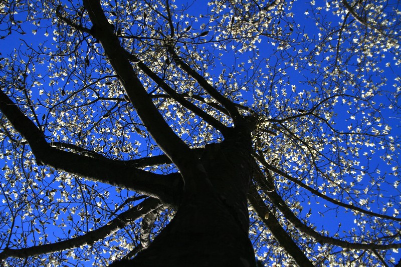 c0104227_2382190.jpg