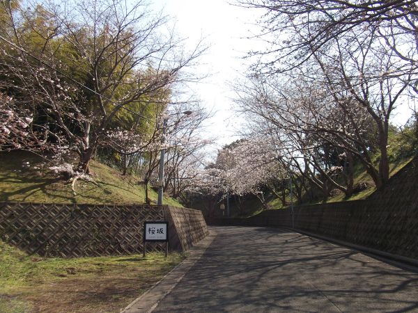 c0222430_724585.jpg