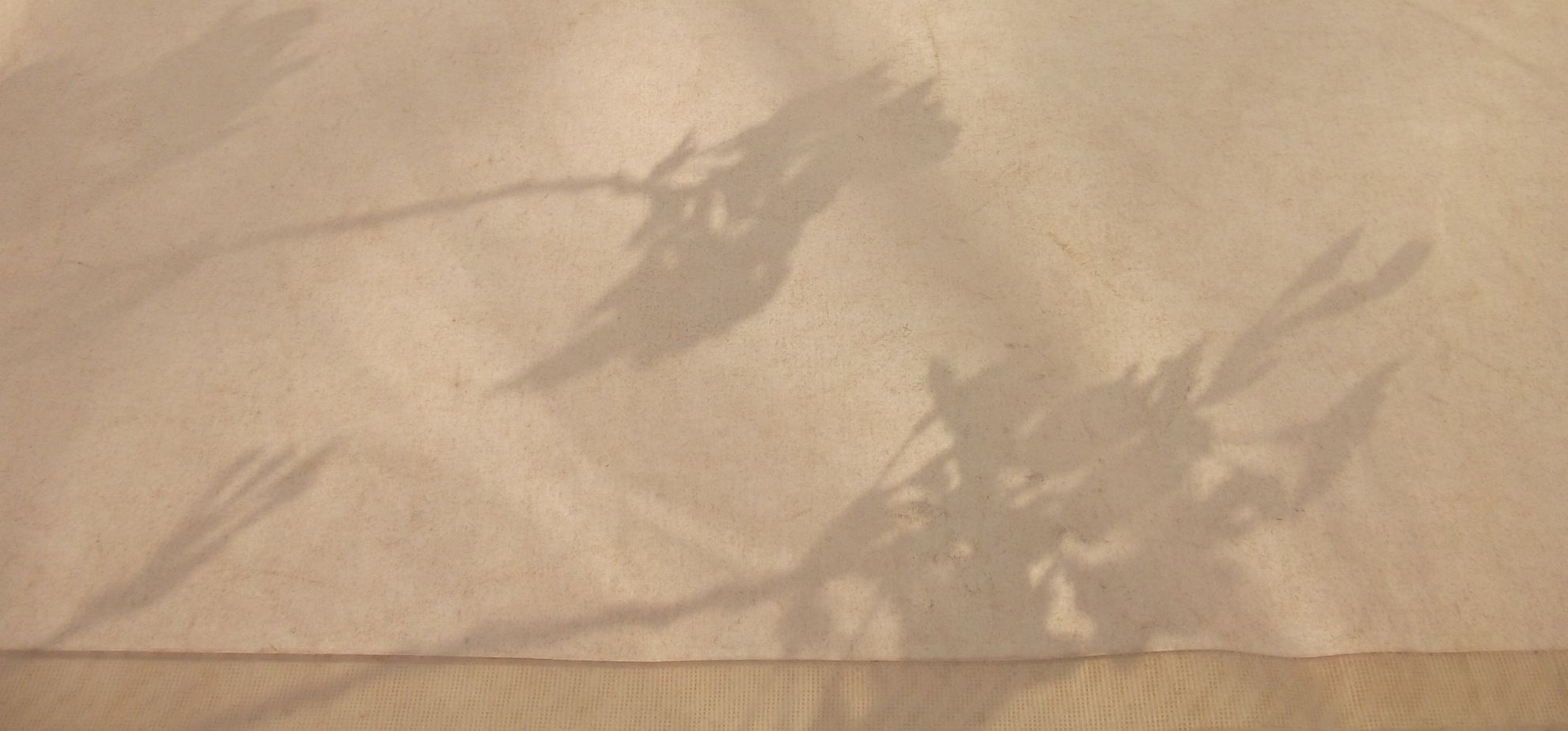 c0222430_7311024.jpg