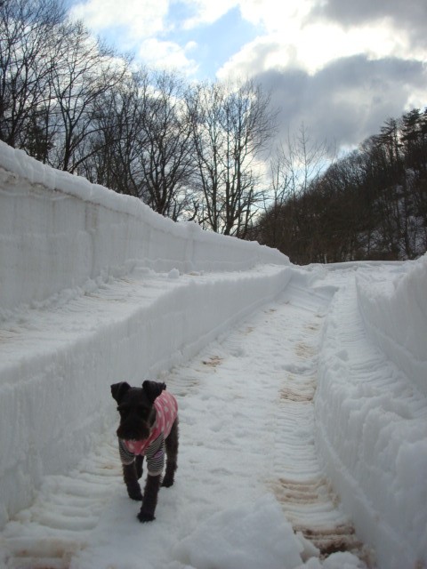 穀物おやつで元気復活！_f0141130_13293565.jpg