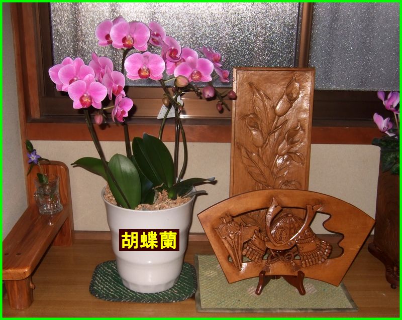 c0004734_2133154.jpg