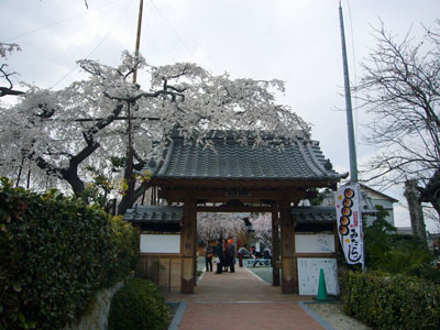 f0032434_20551555.jpg