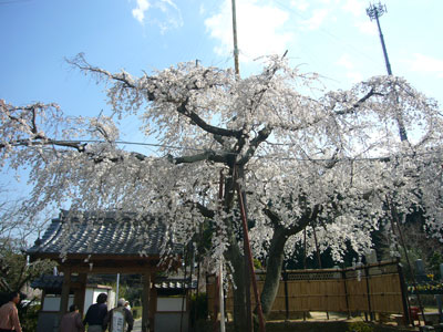 f0032434_20555523.jpg