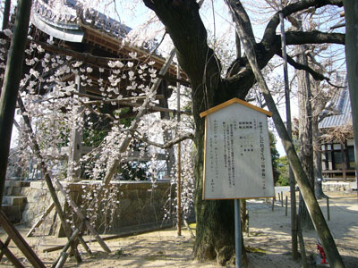 f0032434_20575147.jpg
