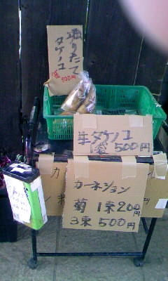 f0032434_20584968.jpg