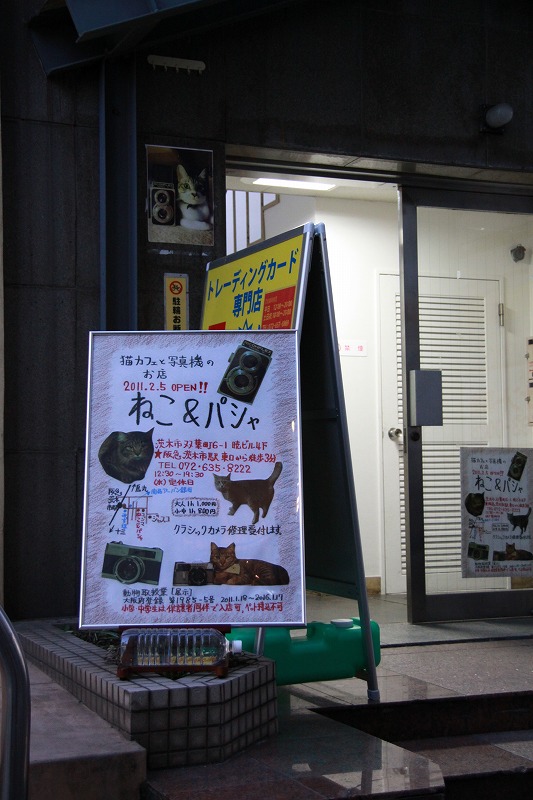 大阪府茨木市 ねこ パシャ 新 間違いだらけの猫カフェ選び