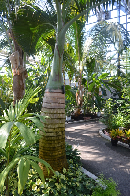 e0228938_20144510.jpg