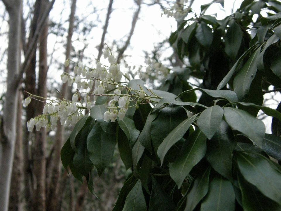 f0090444_22165093.jpg